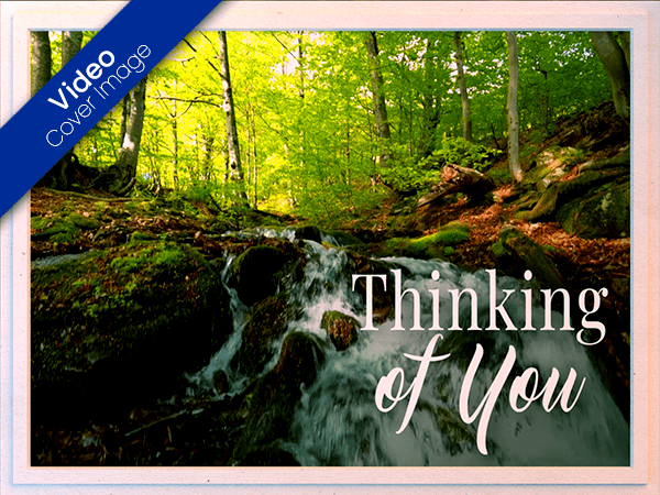 thinking of you ecard with video of forest stream with rapids