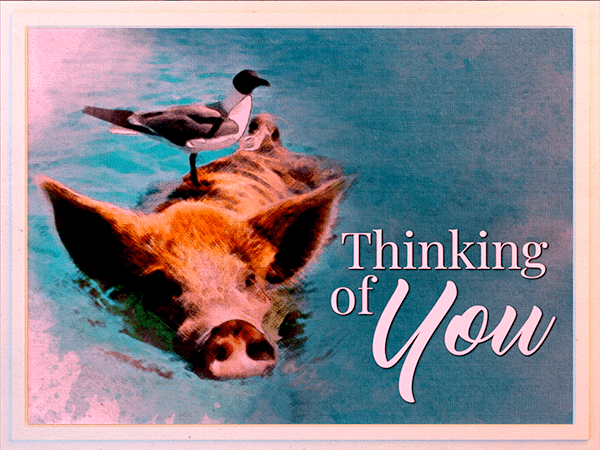 thinking of you ecard with watercolor illustration of pig and bird swimming