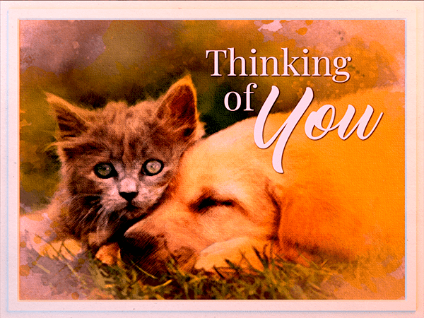 thinking of you ecard with watercolor illustration of kitten and puppy resting together