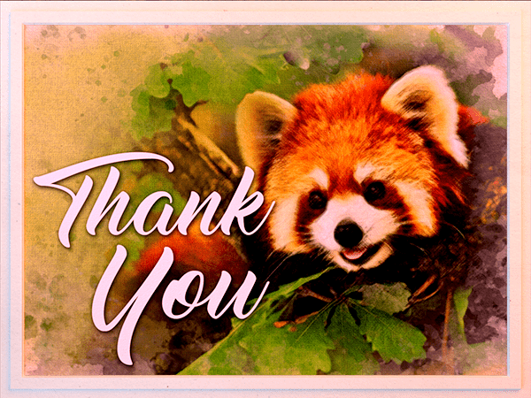 thank you ecard with watercolor illustration of red panda