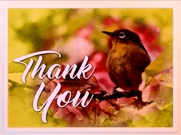 thank you ecard with watercolor illustration of yellow breasted chat bird