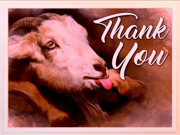 thank you ecard with watercolor illustration of goat sticking out its tongue