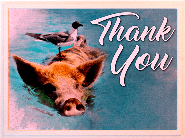 thank you ecard with watercolor illustration of pig and bird swimming