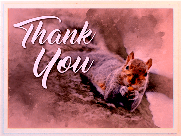 thank you ecard with watercolor illustration of squirrel eating nut