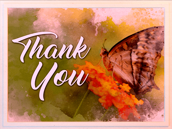 thank you ecard with watercolor illustration of butterfly on flower