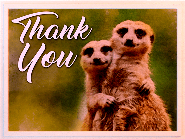 thank you ecard with watercolor illustration of meerkats hugging