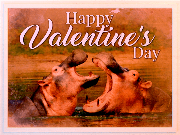 valentines day ecard with watercolor illustration of hippos in a river