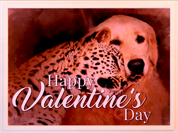 valentines day ecard with watercolor illustration of dog and leopard snuggling