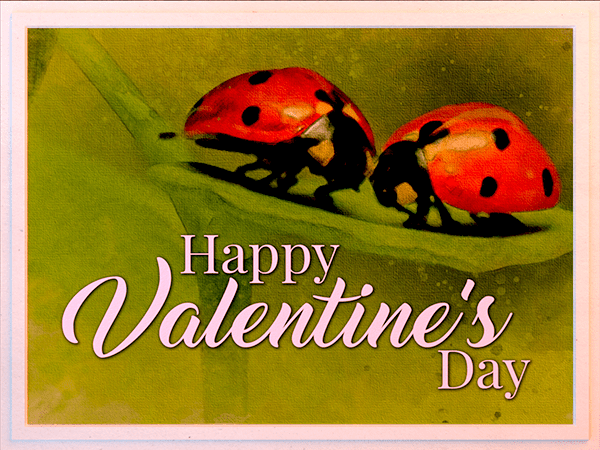 valentines day ecard with watercolor illustration of ladybugs on a leaf