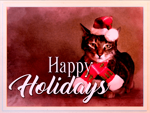 happy holidays ecard with watercolor painting of cat in santa hat