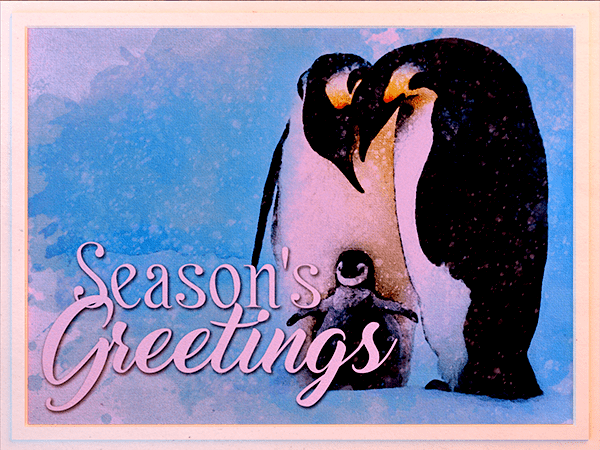 seasons greetings ecard with watercolor painting of penguin family in the snow