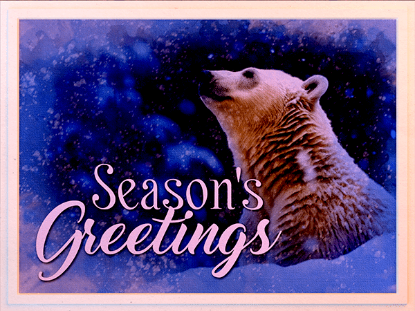 seasons greetings ecard with watercolor painting of polar bear in the snow