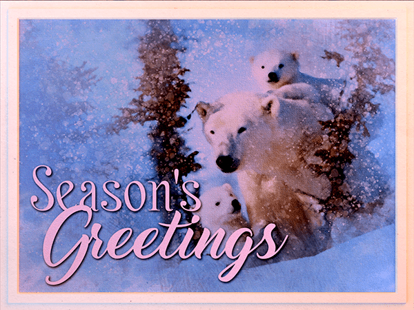 seasons greetings ecard with watercolor painting of polar bear family in the snow